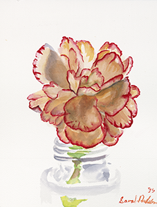 Watercolor Painting of a Carnation
