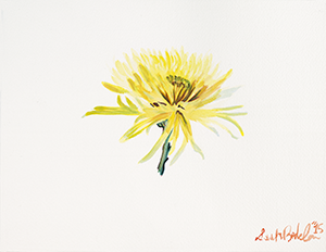Painting of a Chrysanthemum