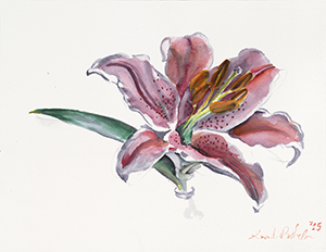 Painting of a Lily dlower