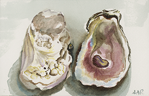 Fine Art Painting of an Oyster Shell