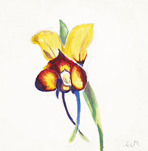 Watercolor Painting of an Orchid