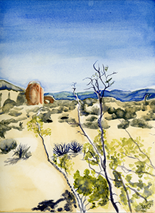 Watercolor ine Art Painting of a Creosote Bush at Joshua Tree National Park