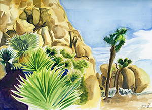 Watercolor Fine Art Painting of a Mojave Yucca tree at Joshua Tree National Park