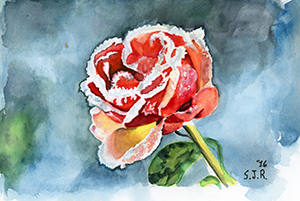 Fine Art Painting of a  flower covered in ice during the winter 